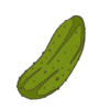 Chicago Pickling cucumber