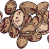 Robin Egg beans