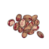 Speckled Algonquin bush bean