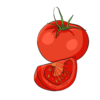 Tondo Liscio Tomato