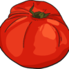 Cosmonaut Volkov tomato