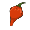 Biquinho Brazilian Hot pepper