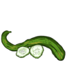 Suyo Long Cucumber