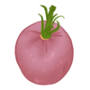 Vilmorin Peach Tomato